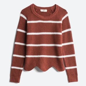(M) stitch fix pinque scalloped hem sweater